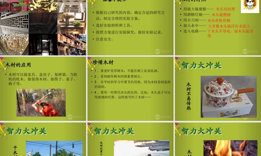 四年级科学下册《木材》课件3 青岛版