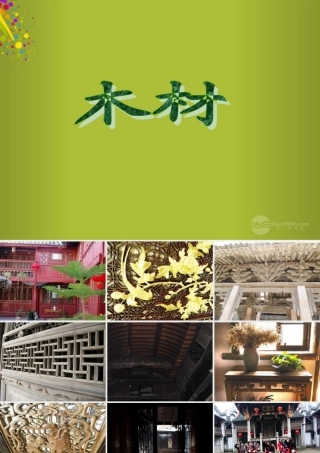 四年级科学下册《木材》课件3 青岛版