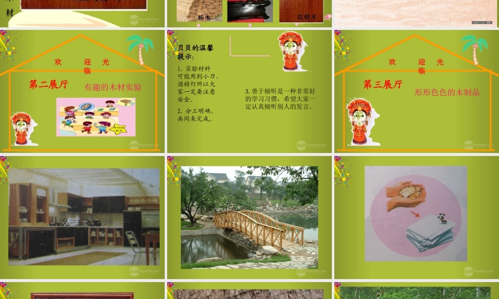 四年级科学下册《木材》课件4 青岛版