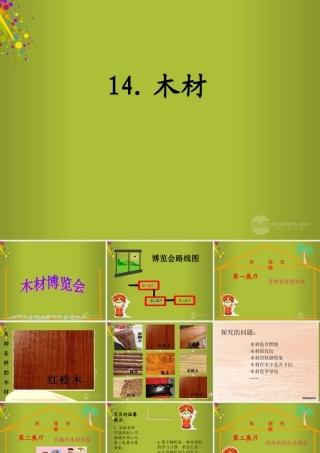 四年级科学下册《木材》课件4 青岛版