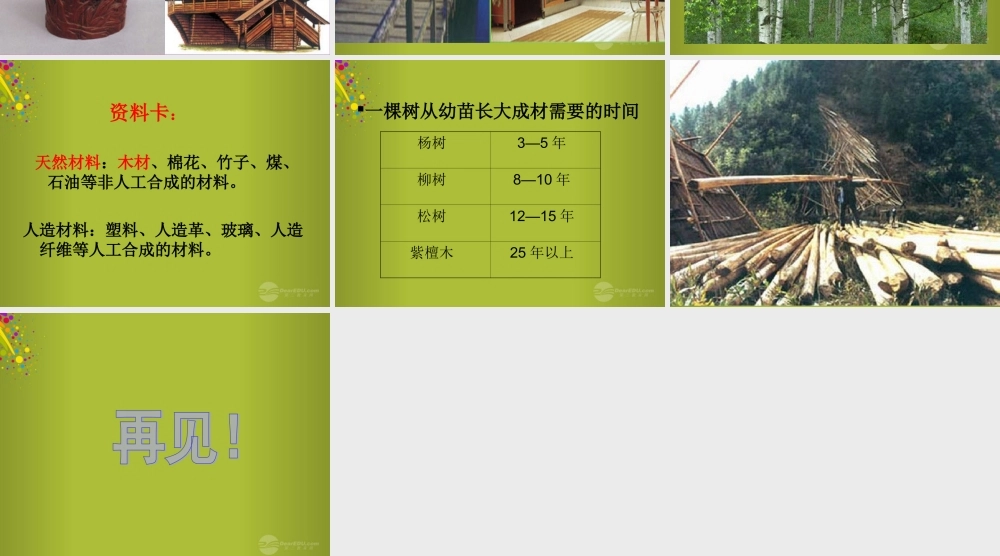 四年级科学下册《木材》课件5 青岛版