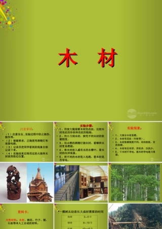四年级科学下册《木材》课件5 青岛版