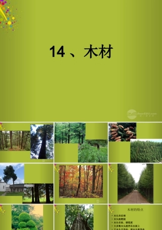 四年级科学下册《木材》课件6 青岛版