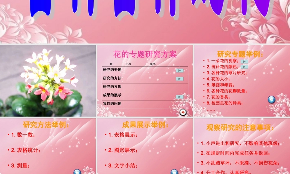 四年级科学下册 各种各样的花 1课件 首师大版