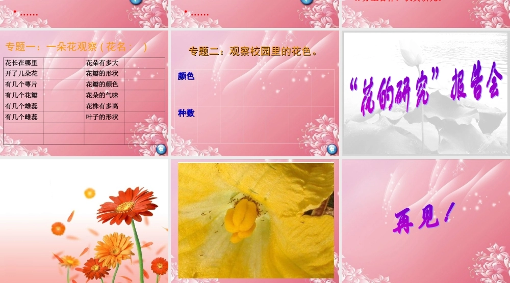 四年级科学下册 各种各样的花 1课件 首师大版