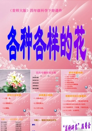 四年级科学下册 各种各样的花 1课件 首师大版