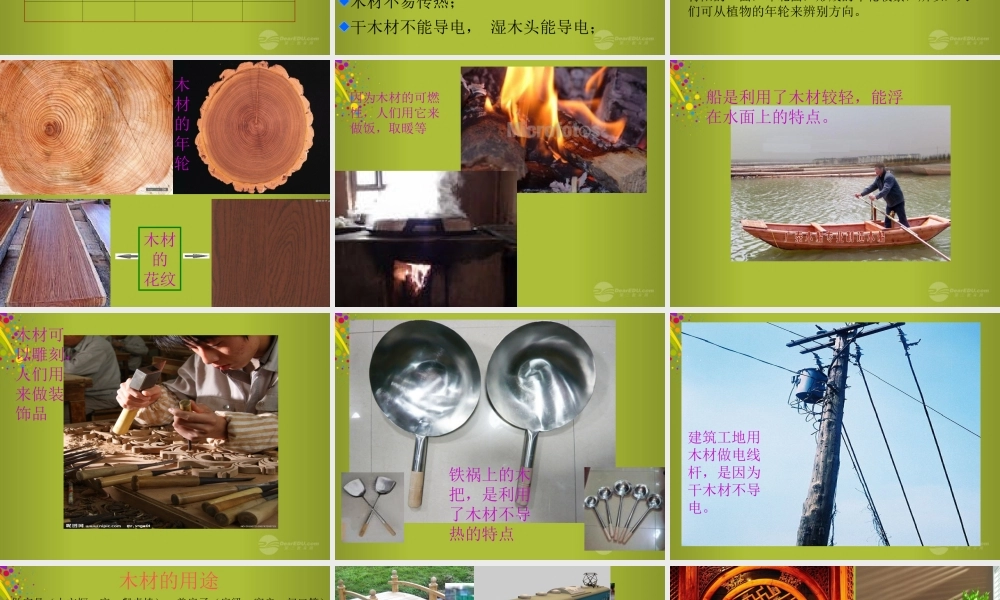 四年级科学下册《木材》课件7 青岛版