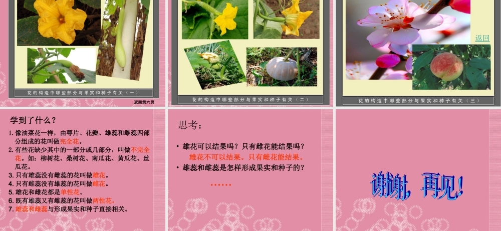 四年级科学下册 各种各样的花 2课件 首师大版