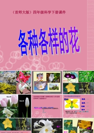 四年级科学下册 各种各样的花 2课件 首师大版