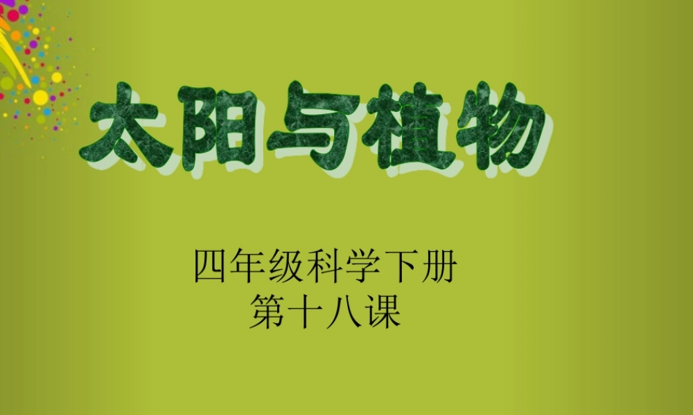 四年级科学下册《太阳与植物》课件1 青岛版