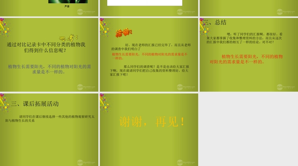 四年级科学下册《太阳与植物》课件1 青岛版