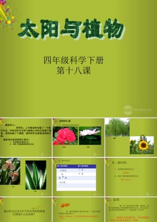 四年级科学下册《太阳与植物》课件1 青岛版