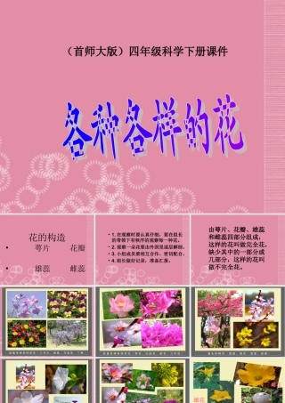 四年级科学下册 各种各样的花 3课件 首师大版