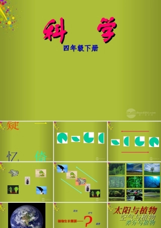 四年级科学下册《太阳与植物》课件2 青岛版