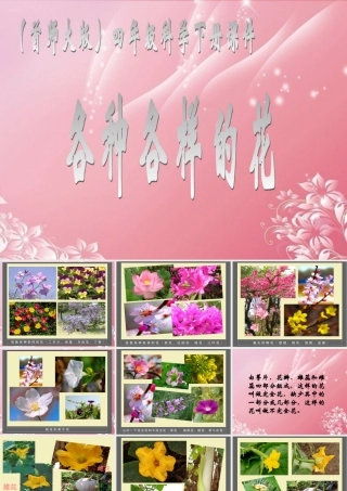 四年级科学下册 各种各样的花 4课件 首师大版