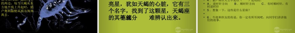 四年级科学下册《夏季星空》课件4 青岛版