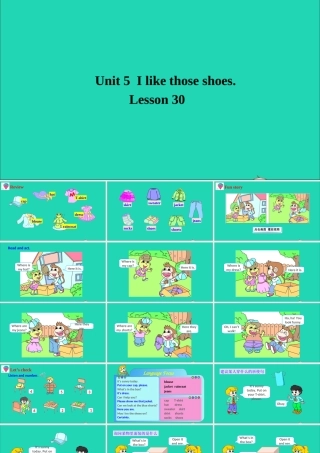 四年级英语上册 Unit 5 I like those shoes Lesson 30课件+素材 人教精通版（三起）
