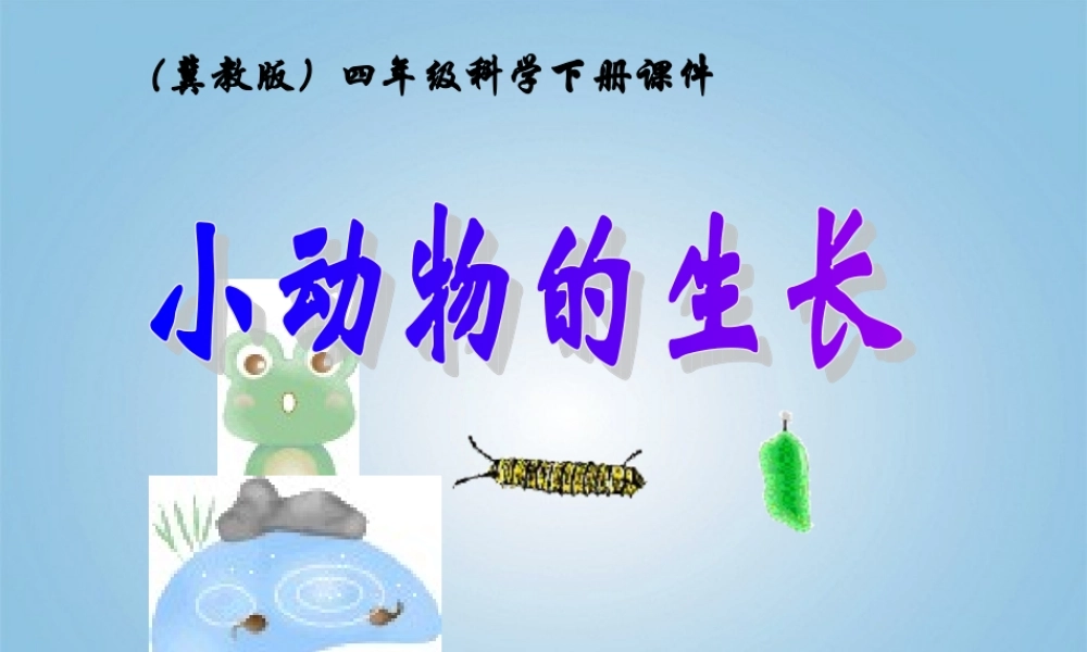 四年级科学下册 小动物的生长2课件 冀教版