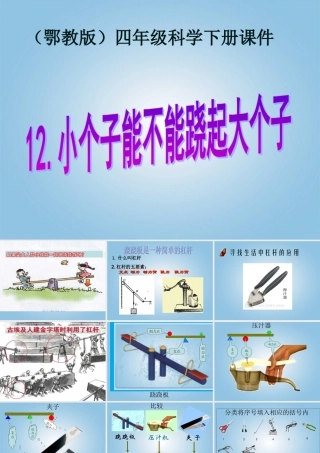 四年级科学下册 小个子能不能跷起大个子4课件 鄂教版