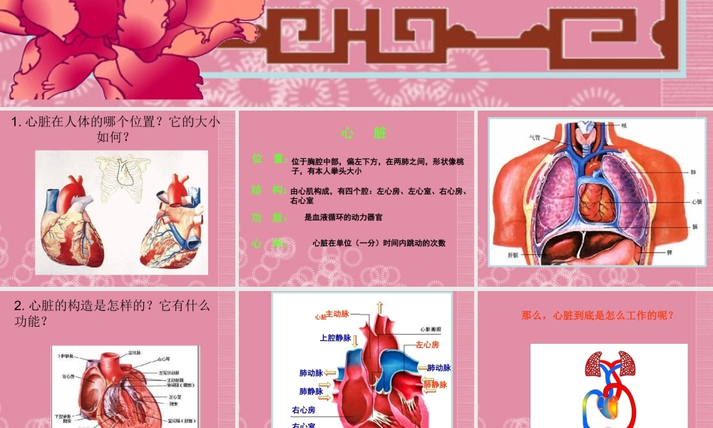 四年级科学下册 心脏的保健 1课件 首师大版