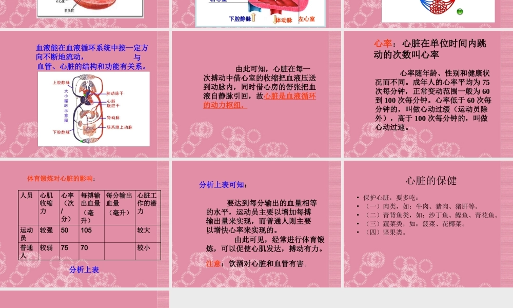 四年级科学下册 心脏的保健 1课件 首师大版