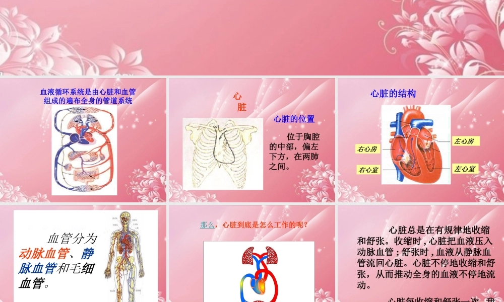 四年级科学下册 心脏的保健 2课件 首师大版