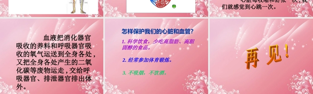 四年级科学下册 心脏的保健 2课件 首师大版
