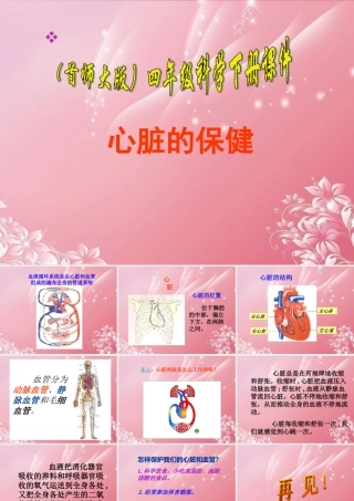 四年级科学下册 心脏的保健 2课件 首师大版