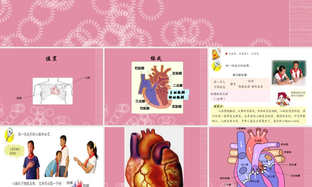 四年级科学下册 心脏的保健 3课件 首师大版