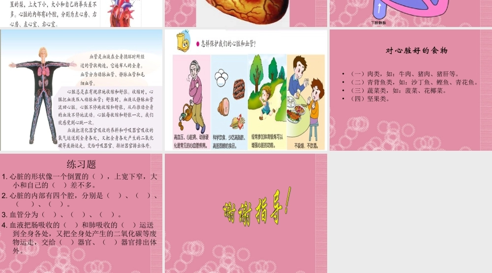 四年级科学下册 心脏的保健 3课件 首师大版