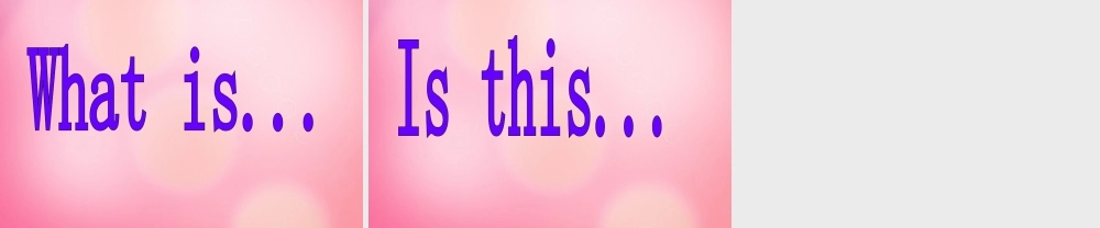 四年级英语下册 Unit 2 Lesson 15 Are you ready for a quiz课件 冀教版（三起）-冀教版小学四年级下册英语课件