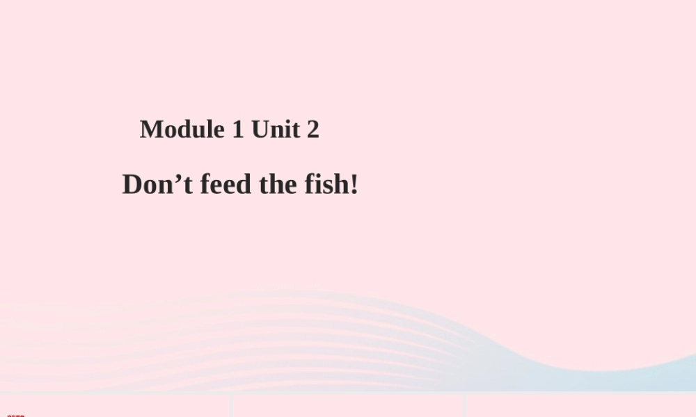 四年级英语下册 Module 1 Unit 2 Don't feed the fish课件1 外研版（一起）-外研版小学四年级下册英语课件