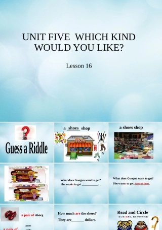 四年级英语上册 Unit 5 Which kind would you like Lesson 16课件 北京课改版-北京课改版小学四年级上册英语课件