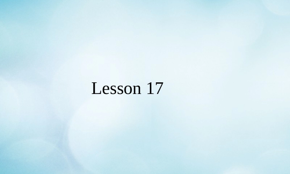 四年级英语上册 Unit 5 Which kind would you like Lesson 17课件 北京课改版-北京课改版小学四年级上册英语课件