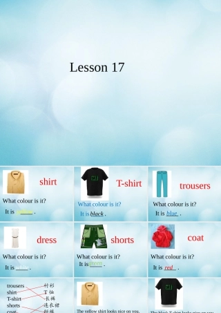 四年级英语上册 Unit 5 Which kind would you like Lesson 17课件 北京课改版-北京课改版小学四年级上册英语课件