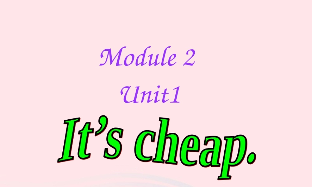 四年级英语下册 Module 2 unit 1 it's cheap课件2 外研版（一起）-外研版小学四年级下册英语课件