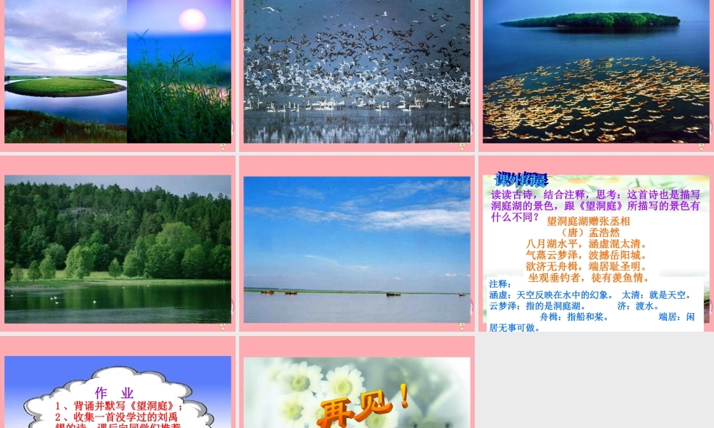 四年级语文上册 第3课 古诗两首 望洞庭课件 苏教版-苏教版小学四年级上册语文课件