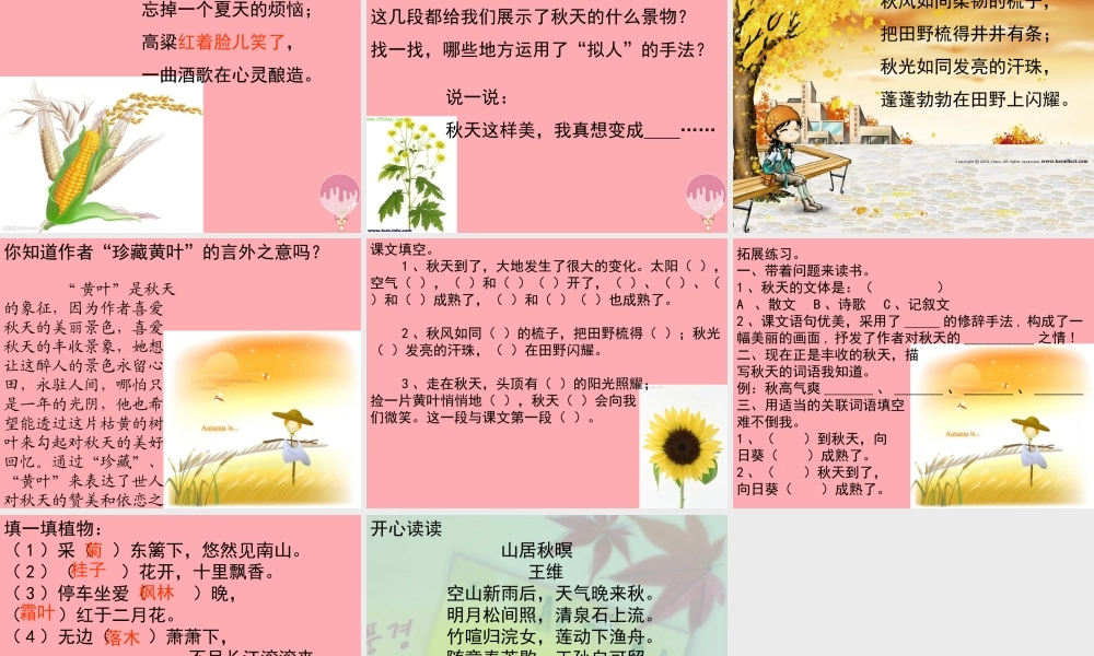 四年级语文上册 第4课 秋天课件 苏教版-苏教版小学四年级上册语文课件