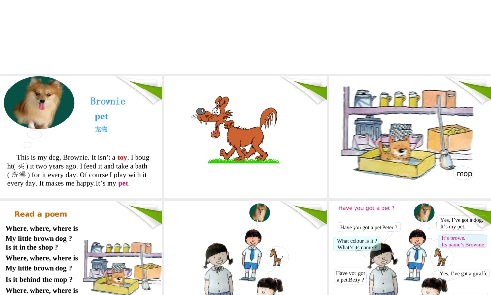 四年级英语下册 Module 2 Unit 1(3)课件 沪教牛津版