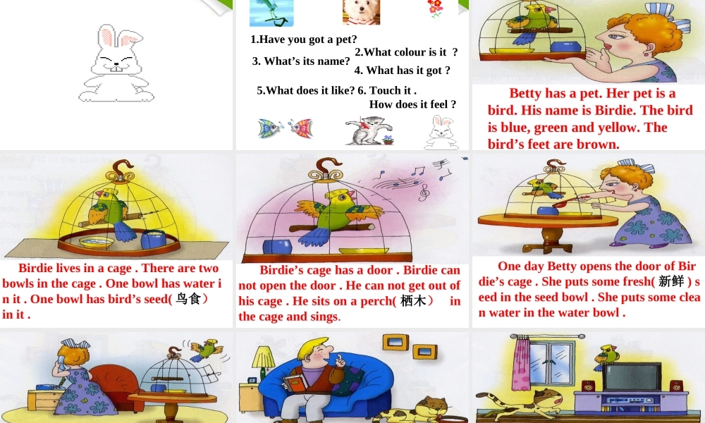 四年级英语下册 Module 2 Unit 1(3)课件 沪教牛津版