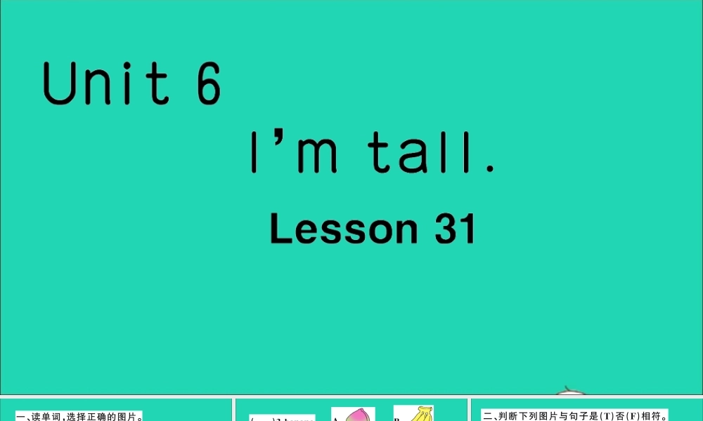 四年级英语上册 Unit 6 I'm tall Lesson 31作业课件 人教精通版（三起）-人教版小学四年级上册英语课件
