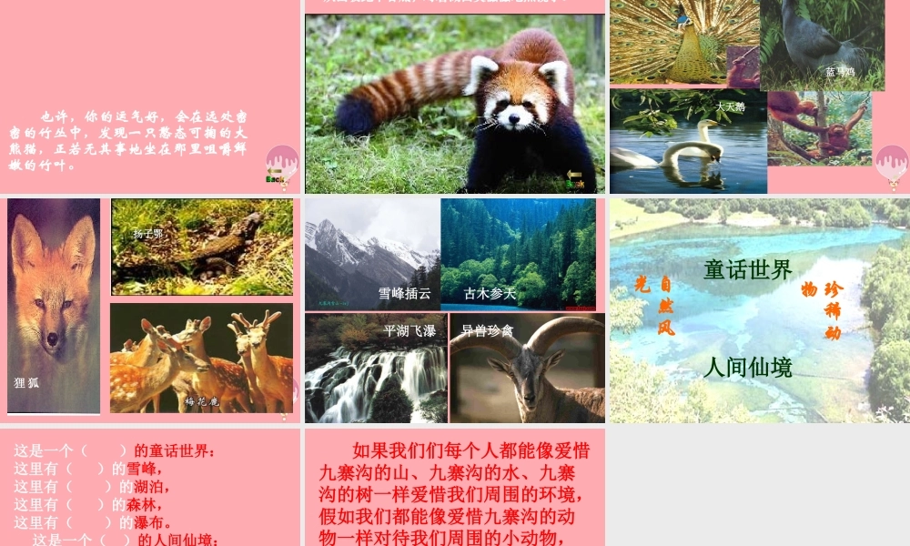 四年级语文上册 第9课 九寨沟课件 苏教版-苏教版小学四年级上册语文课件