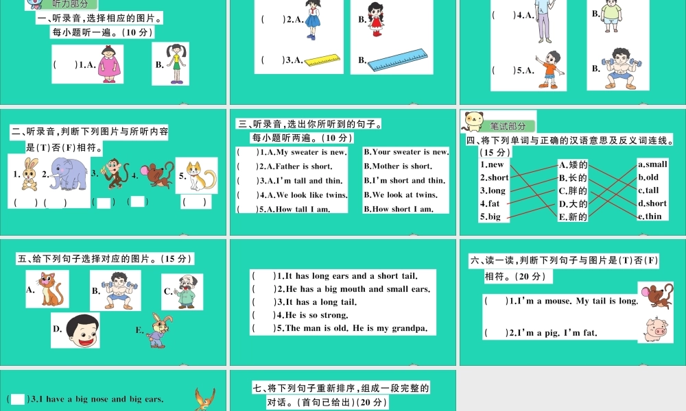 四年级英语上册 Unit 6 I'm tall测试课件+素材 人教精通版（三起）