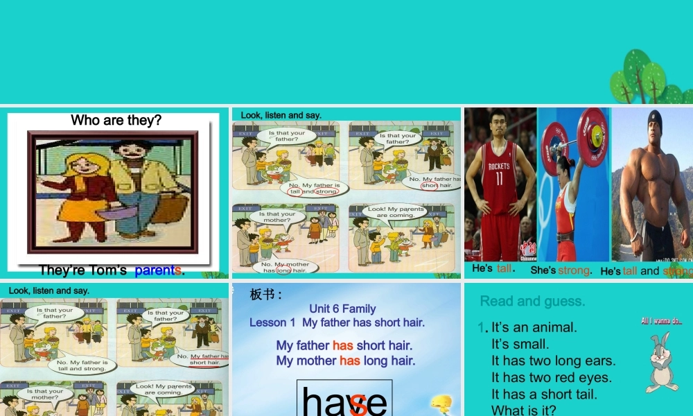 四年级英语上册 Unit 6 Lesson 1 My father has short hair课件 鲁科版-鲁科版小学四年级上册英语课件