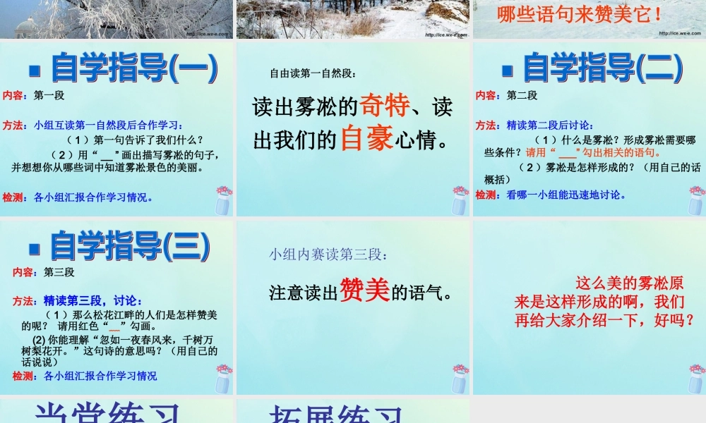 四年级语文上册 第七单元 23 雾凇教学课件 苏教版-苏教版小学四年级上册语文课件