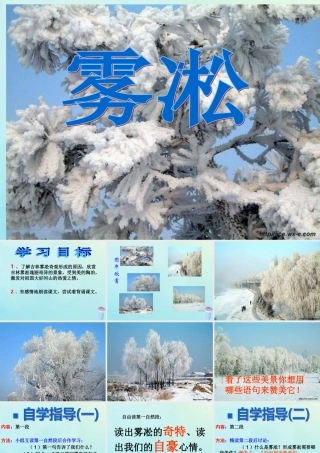 四年级语文上册 第七单元 23 雾凇教学课件 苏教版-苏教版小学四年级上册语文课件