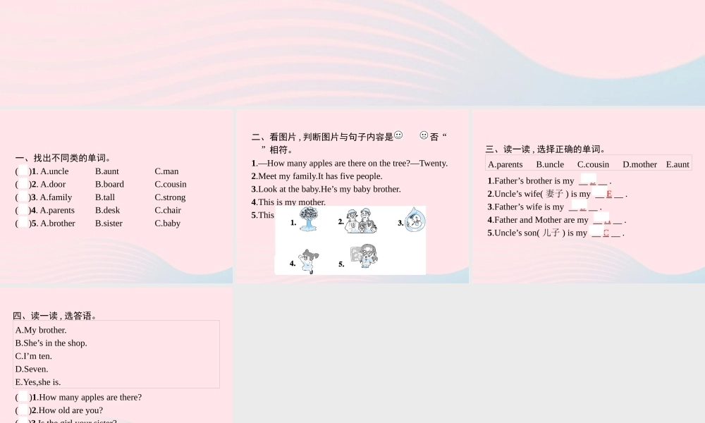 四年级英语上册 Unit 6 Meet my family Part A（2）Let’s learn Let’s play作业课件 人教PEP-人教PEP小学四年级上册英语课件