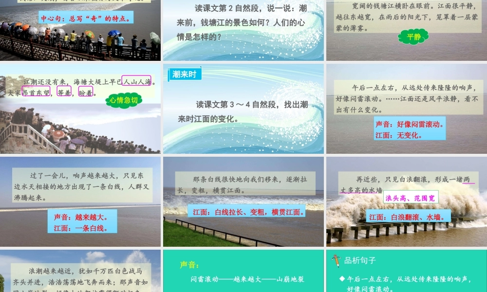 四年级语文上册 第一单元 1 观潮课件