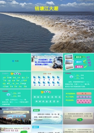 四年级语文上册 第一单元 1 观潮课件