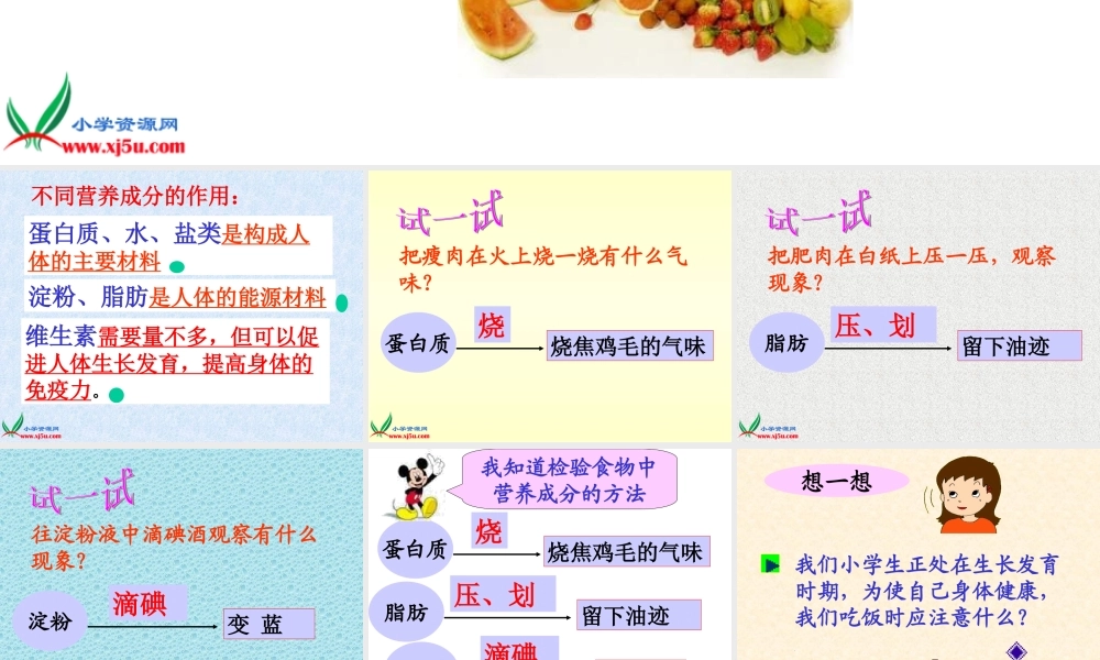 四年级自然与科学下册 饮食与健康课件 首师大版